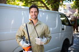 Emergency Pest Control Services in Spring Valley, NV